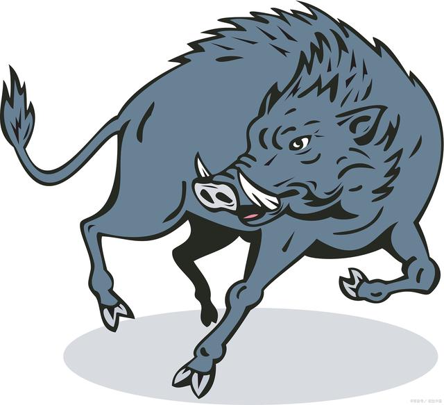 油嘴滑舌的生肖之谜,民意调查与文化解读 油嘴滑舌的生肖之谜,民意调查与文化解读