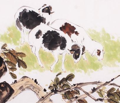 一枝独秀是什么生肖，新型作答落实解释