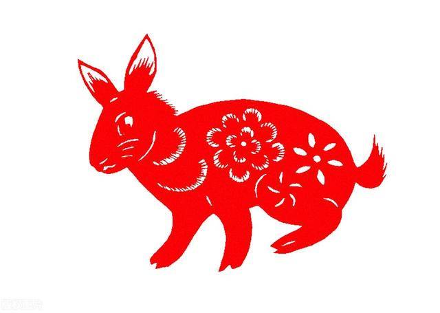 生肖兔的幸运数字,背后的坚韧与不屈 生肖兔的幸运数字,背后的坚韧与不屈