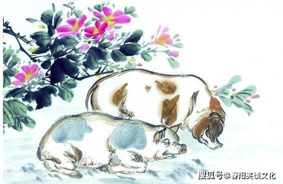 一生好胜的生肖，正确解释与落实