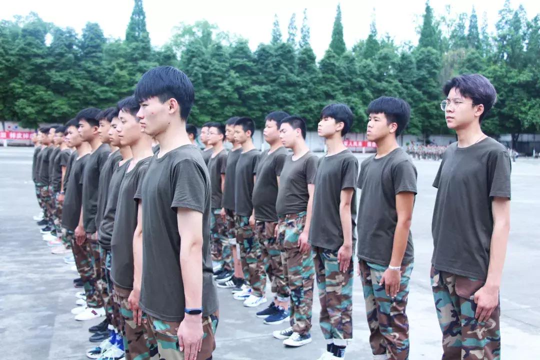 斩断旧念，迎接新生，一刀两断与生肖鼠的积极转变