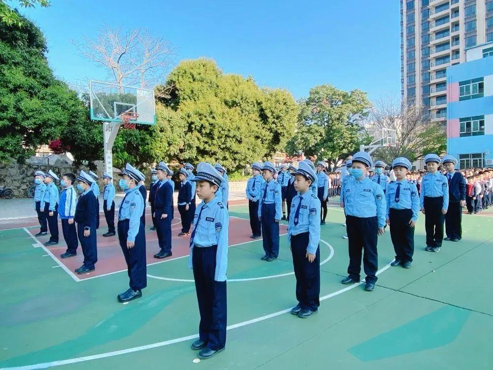 雏鹰展翅,生肖之谜与非凡解释的落实 雏鹰展翅,生肖之谜与非凡解释的落实