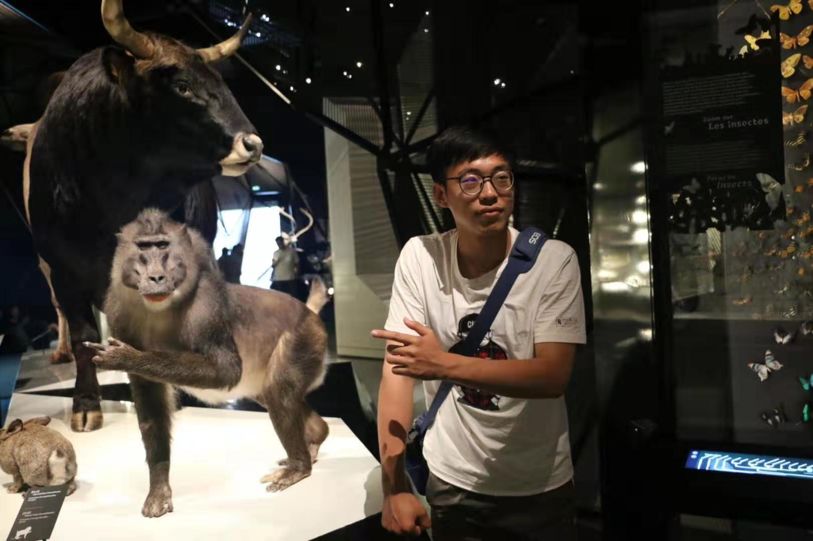 探秘刘雁之猜一动物的深层文化与智慧