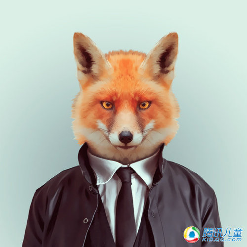 衣冠楚楚是什么生肖，全面揭晓解释落实