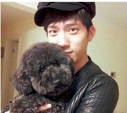 十二生肖吃肉的动物，的温馨解析与文化解答