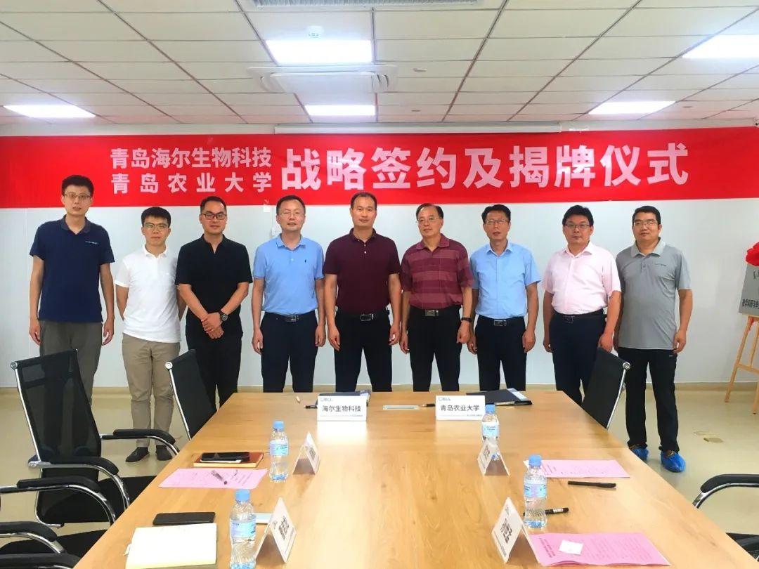 如鱼得水猜一生肖，的动物智慧与战略运用