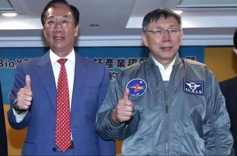 偷梁换柱是指什么生肖，结论作答落实解释