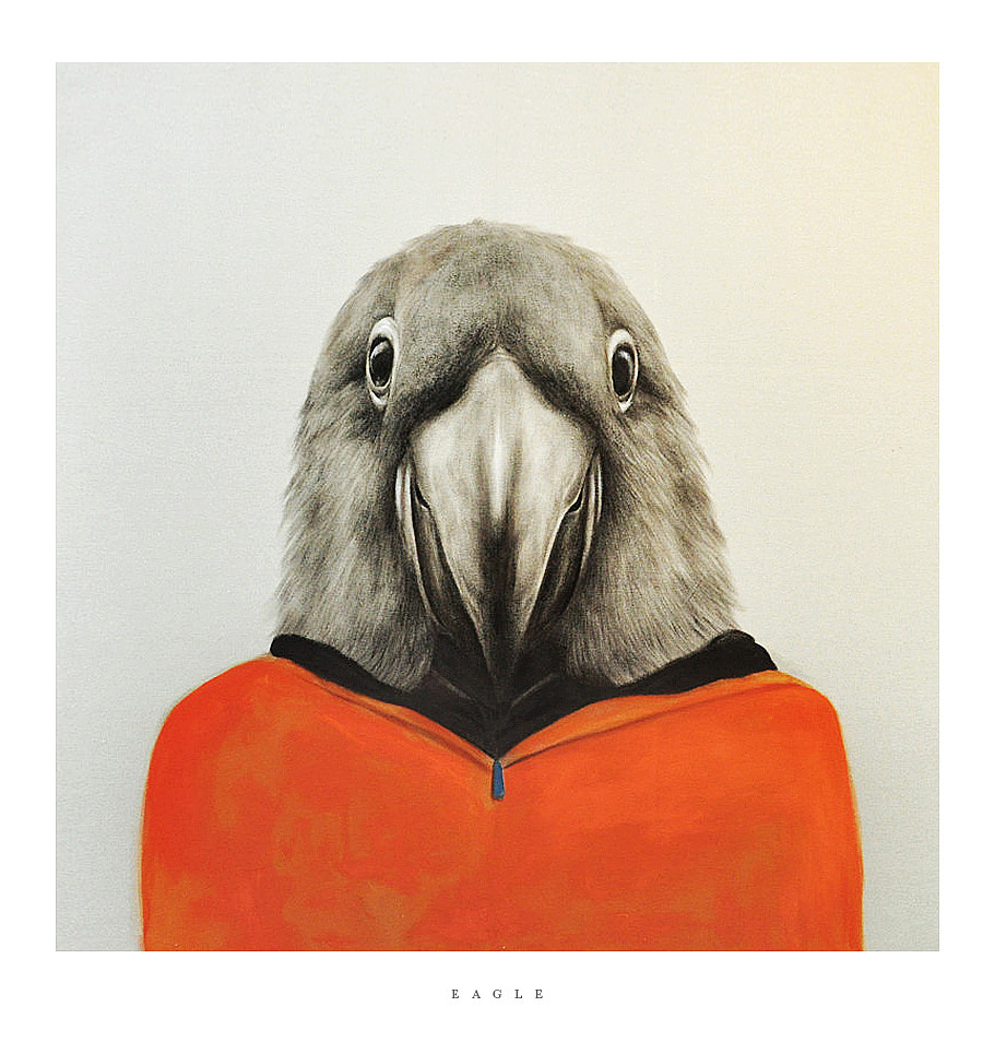 衣冠楚楚是什么生肖，全面揭晓解释落实