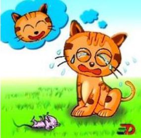 猫哭耗子，假慈悲，揭秘背后的真相与动物保护意识