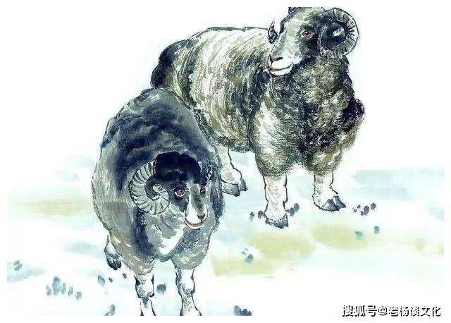 大名鼎鼎是什么生肖，解释与落实的和谐共舞