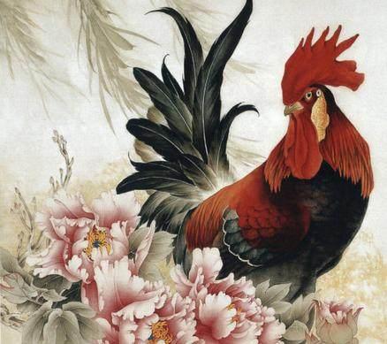 十二生肖的缺陷，精选解析与落实的详细结果