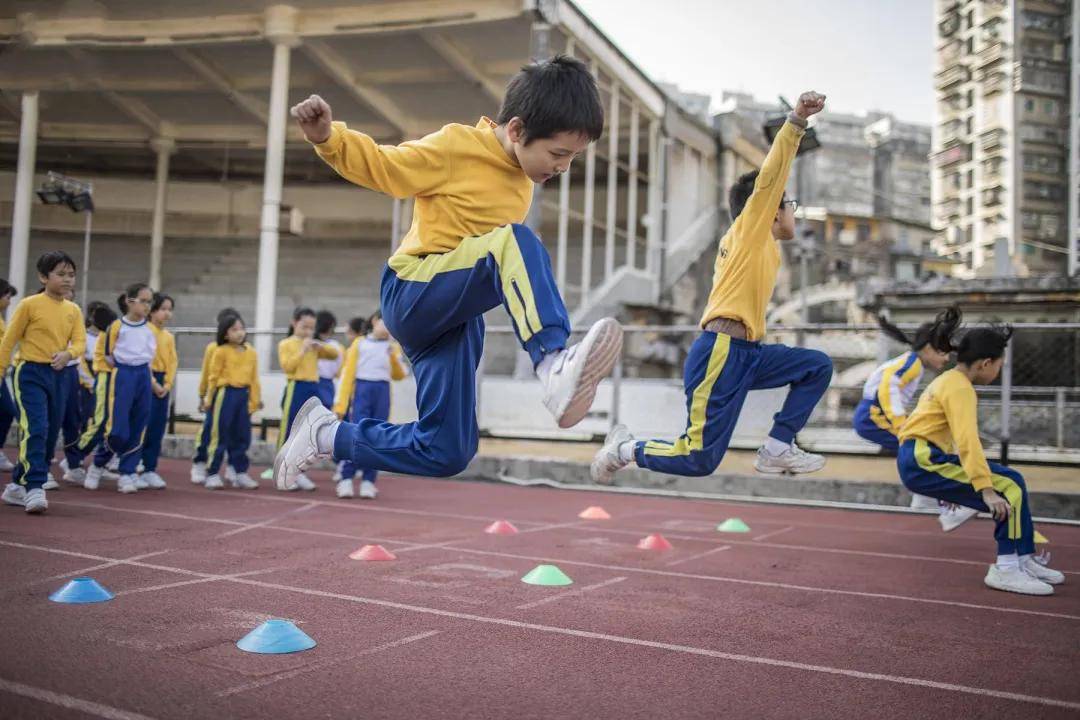 群起攻击是什么意思打一正确生肖?能人解释与现代生活的落实