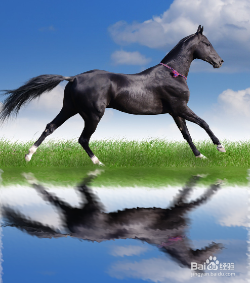 解密害群之马背后的生肖奥秘，一场智慧与寓言的碰撞