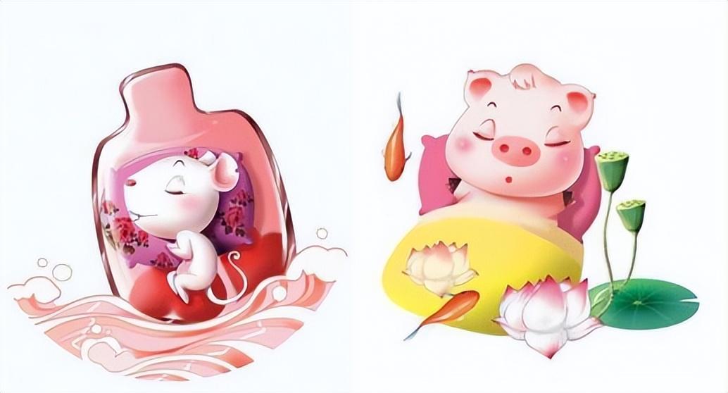 天生一对什么生肖，全面揭晓解释落实