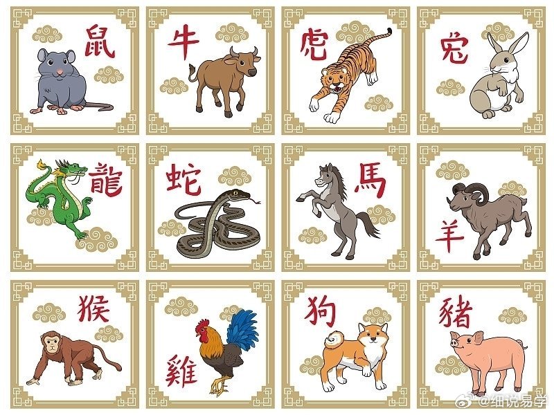 割须换袍,生肖动物中的智慧与转变 割须换袍,生肖动物中的智慧与转变