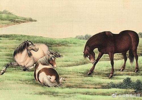 四蹄生风是指什么生肖,的精准解答与落实精神 四蹄生风是指什么生肖,的精准解答与落实精神