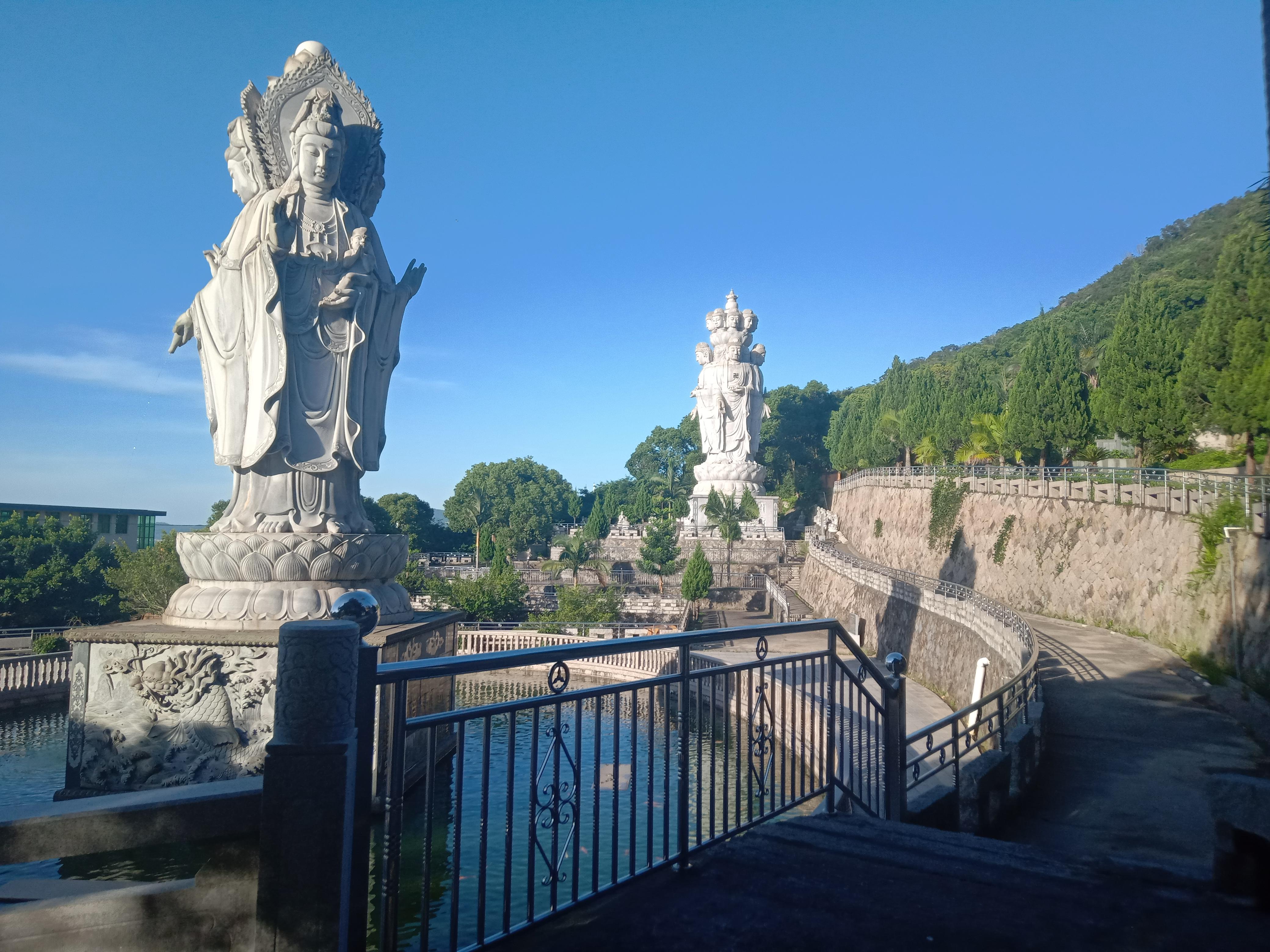 四方八面打一生肖动物，通常解释落实