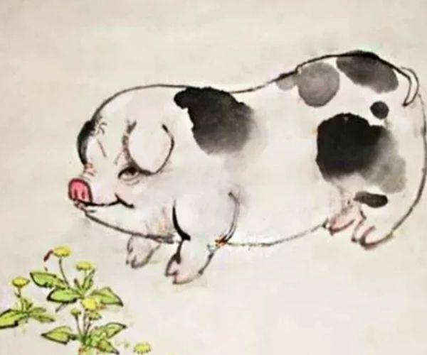 贪得无厌的生肖，的社会进步与文化解析