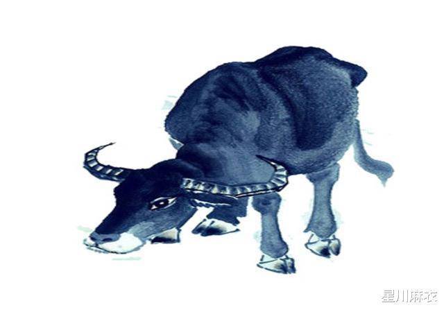 富贵不淫的生肖，生肖牛的全面解析与人生智慧