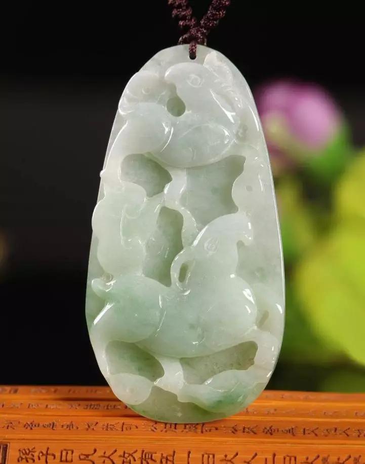 邑犬群吠，揭秘背后的生肖寓意