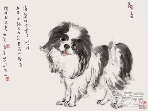 生肖狗一生的运势，一语中的，全面解析