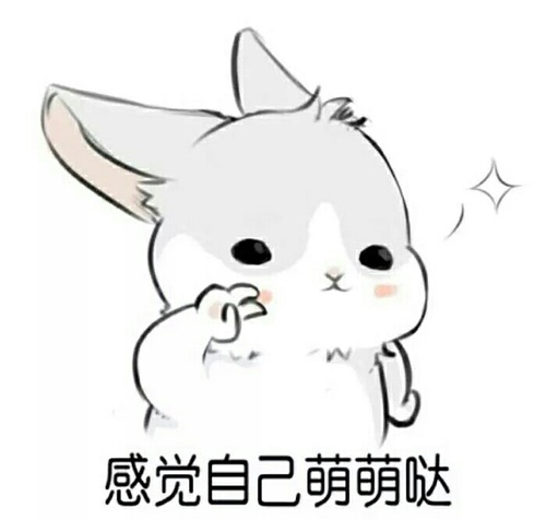 大家闺秀与生肖的神秘联系，以兔为例的非凡解释与文化落实