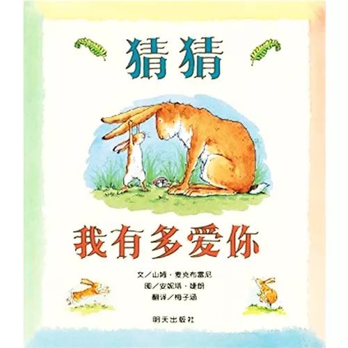 施不望报猜一动物，专业作答落实解释