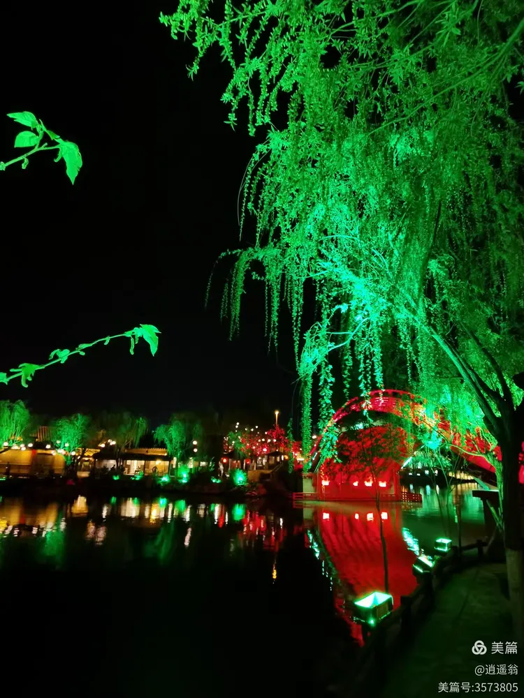 花红柳绿不夜天猜一生肖，精选解析与落实的详细结果