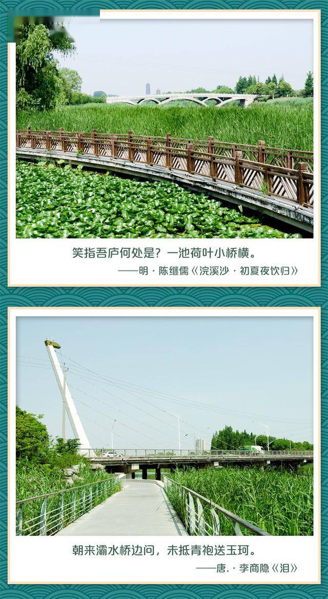 遇水叠桥是指什么生肖，定量解释落实