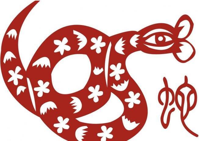 十二生肖中谁最擅长白手起家，鼠的智慧与坚韧