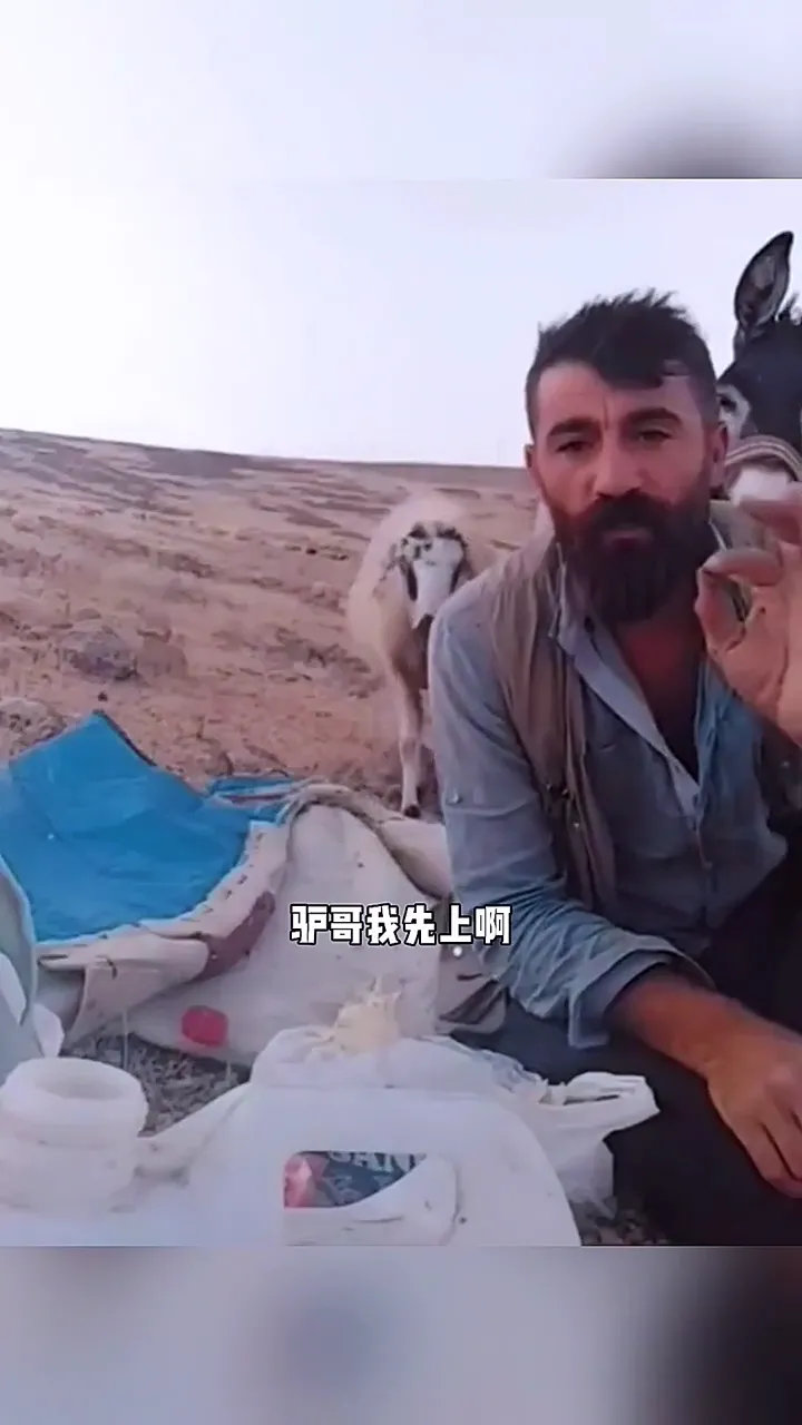 调虎离山猜一动物,理想作答落实解释 调虎离山猜一动物,理想作答落实解释