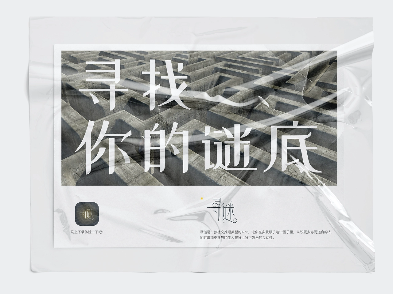 探寻谜底，三妻四妾皆佳丽猜一生肖的精准解答与落实精神