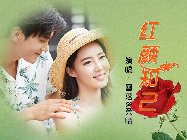 红颜知己与生肖之谜，探寻生肖背后的激励力量