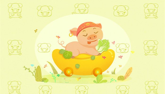 蓝天飞虹，生肖之谜的温馨解析与文化解答