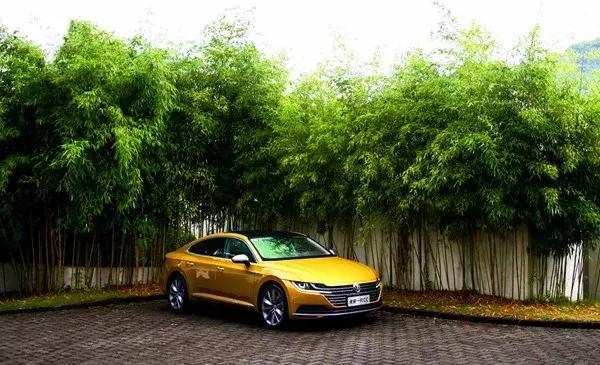 虎口夺食，揭秘生肖之谜的智慧与勇气