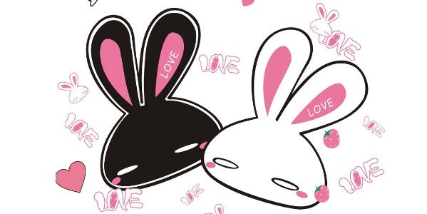 玫瑰花与生肖的奇妙联结，揭秘兔的温柔寓意