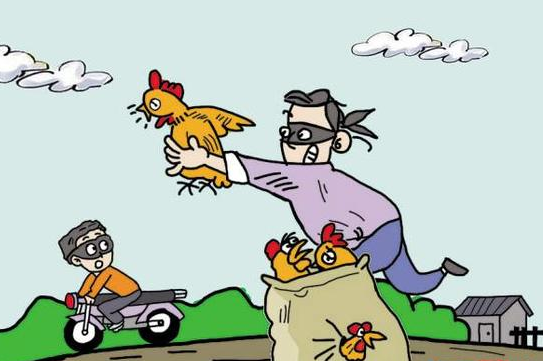 捉贼见赃打一正确生肖，最新解释与落实