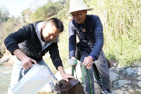 十二生肖护身佛，守护与信仰的视觉诠释