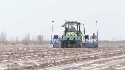达者为师，以行动为翼，翱翔于智慧之林的动物寓言