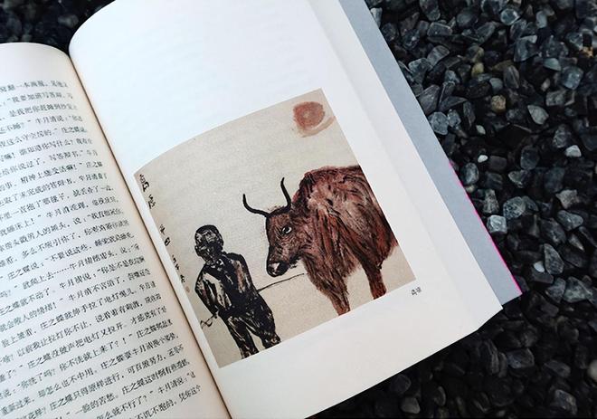 深度解析东山再起与生肖智慧，以蛇为例的哲学思考