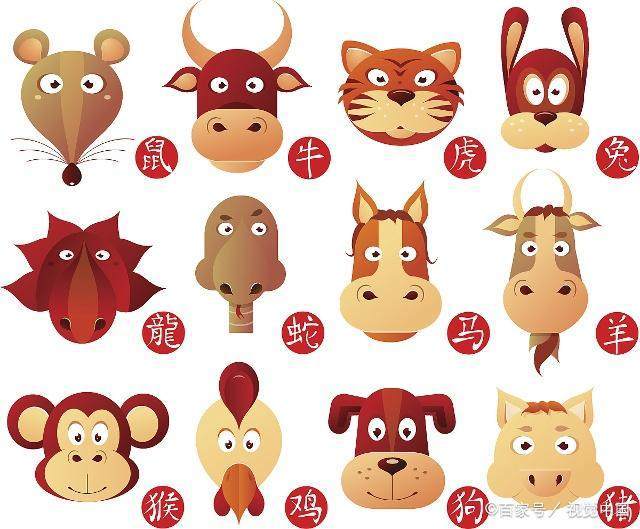 五花八门代表什么生肖,通常作答落实解释 五花八门代表什么生肖,通常作答落实解释