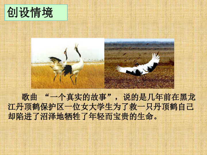 问五今秋几时黄，揭秘秋黄背后的动物谜题