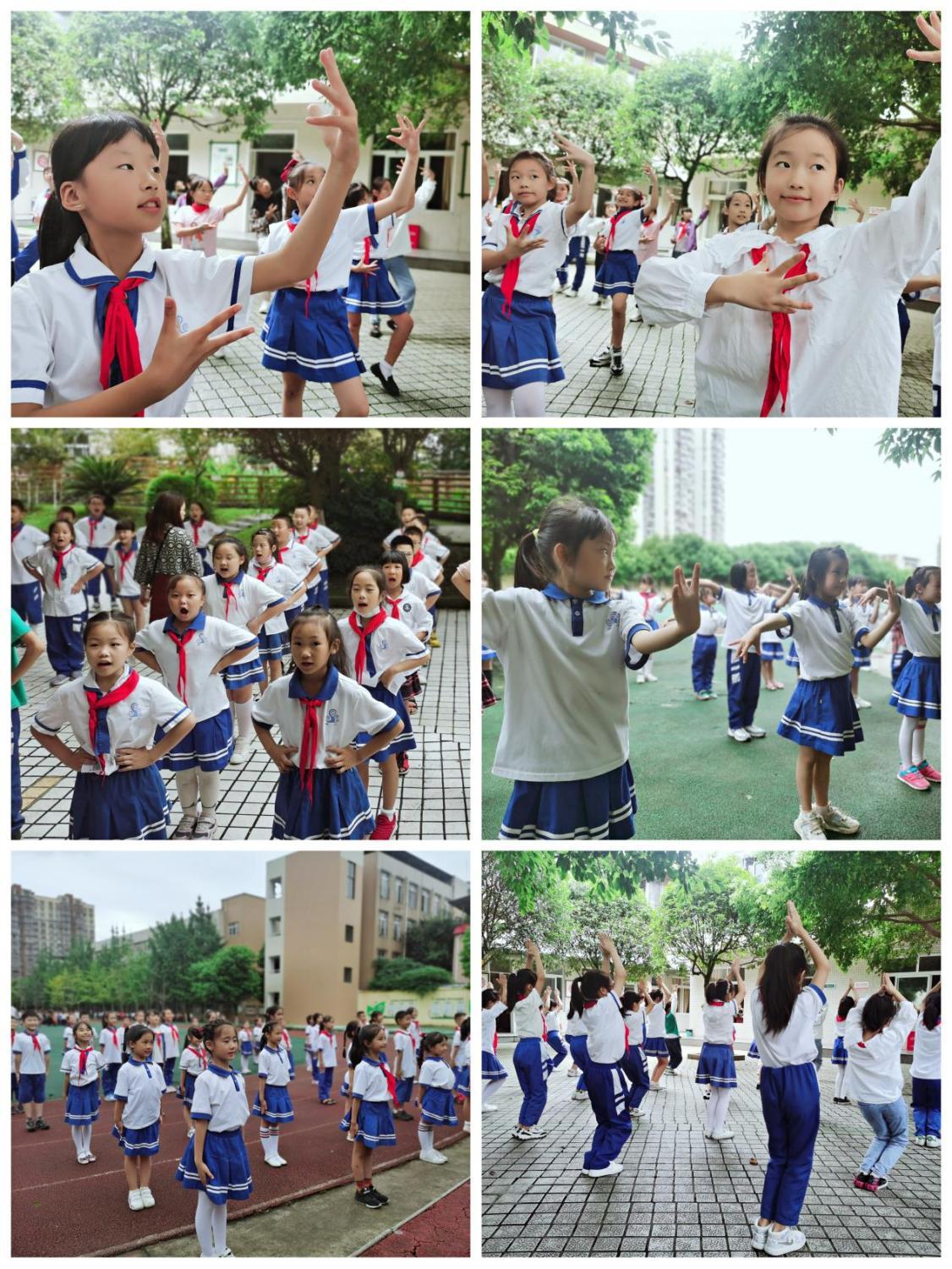 独立自主是什么生肖，奥秘解释落实