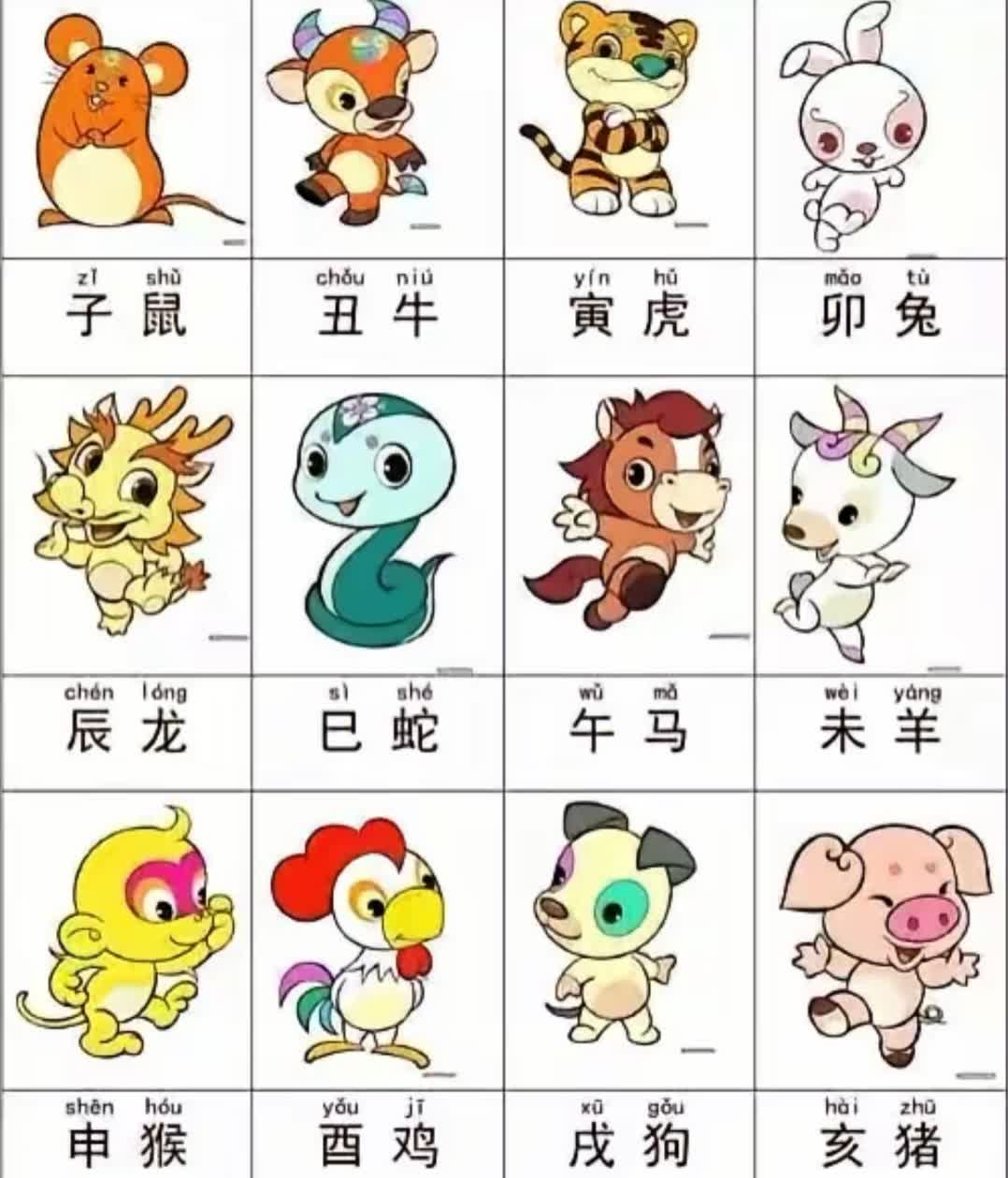 十二生肖大肖是哪几个，相信作答落实解释