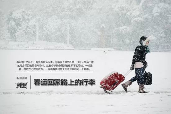 韶光似箭，猜一生肖，兔的时光哲学