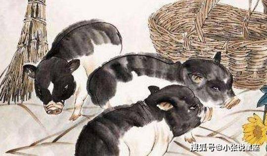 坐收渔利代表猜一生肖，揭秘背后的文化寓意