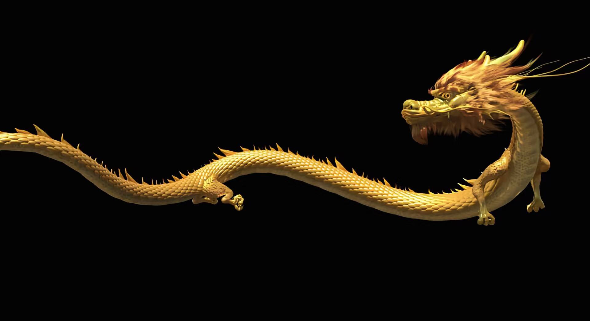 同心同德，生肖中的和谐典范—以龙为例的深度解析与现代实践