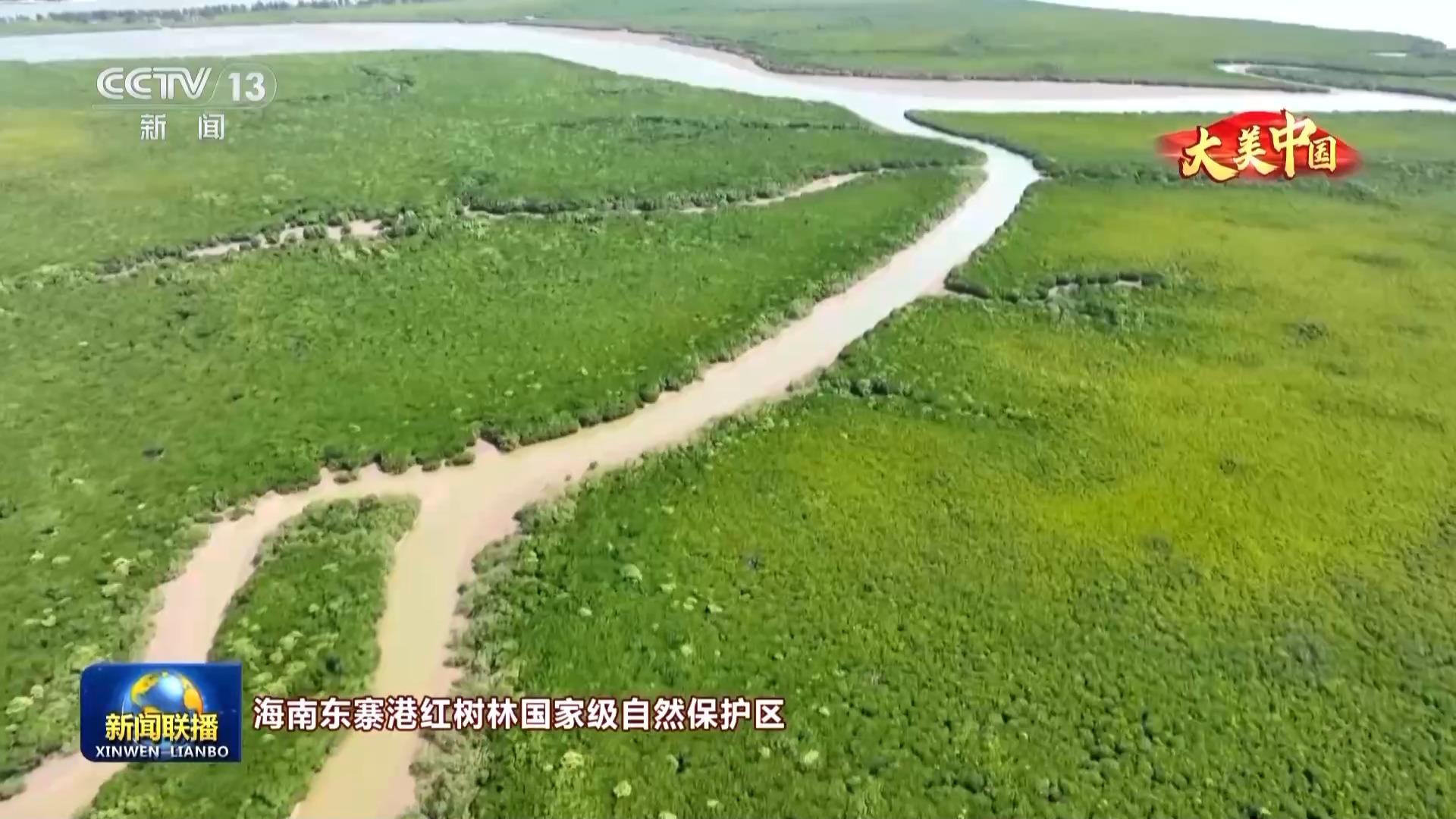 南方生肖的独特魅力，文化与自然的和谐共生