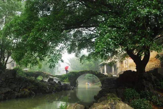 风雨一生桥与路，谜底揭晓—探寻风雨一生背后的动物寓意