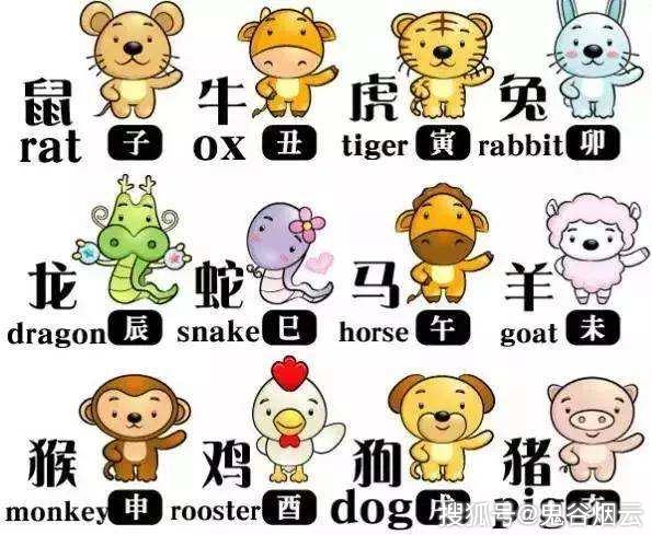 前赴后继的智慧—揭秘生肖之谜的故事与寓意